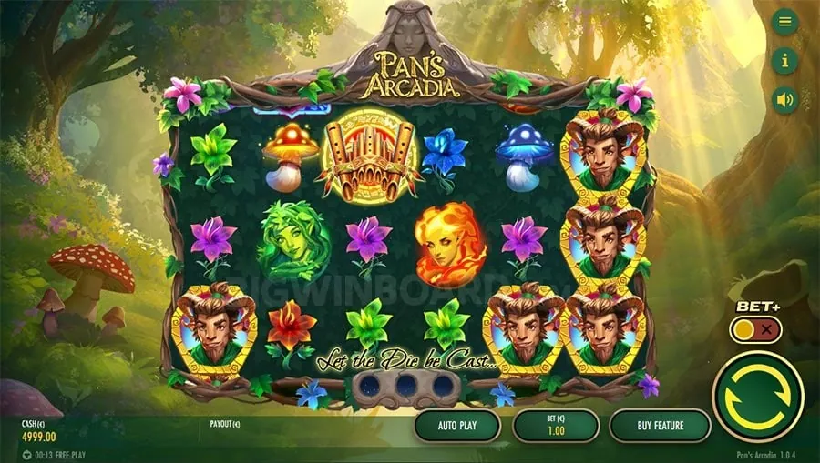 arena live Video Poker Strategy Guide